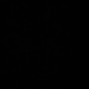 Meet your Posher, Ella